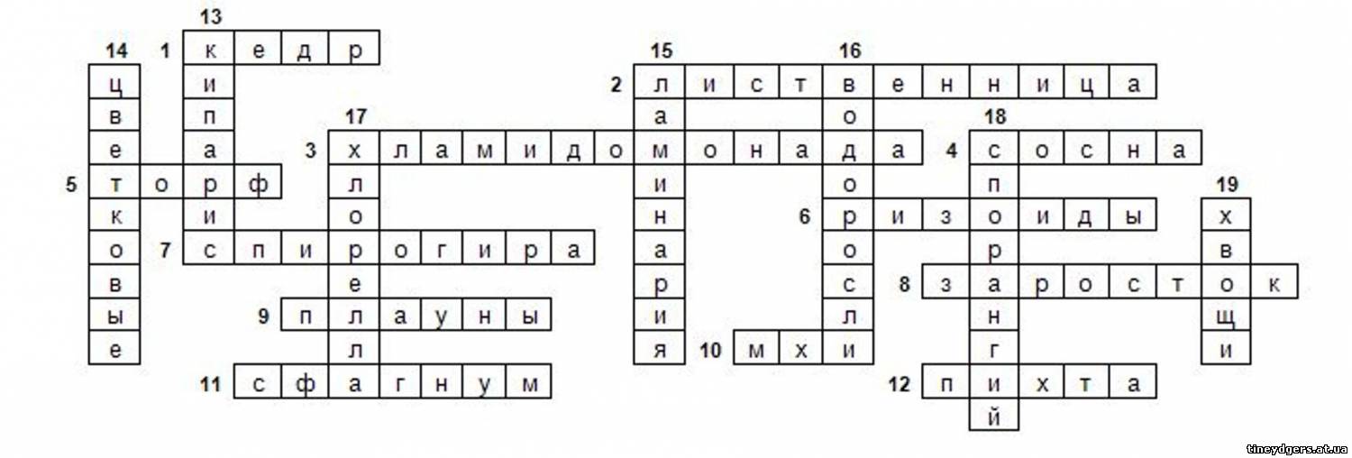 Регулярная пресса 9 букв сканворд